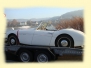 Austin Healey 100 / 6