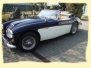 Austin Healy BJ8