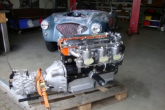402c(1131)
