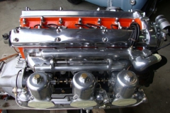 402c(1135)